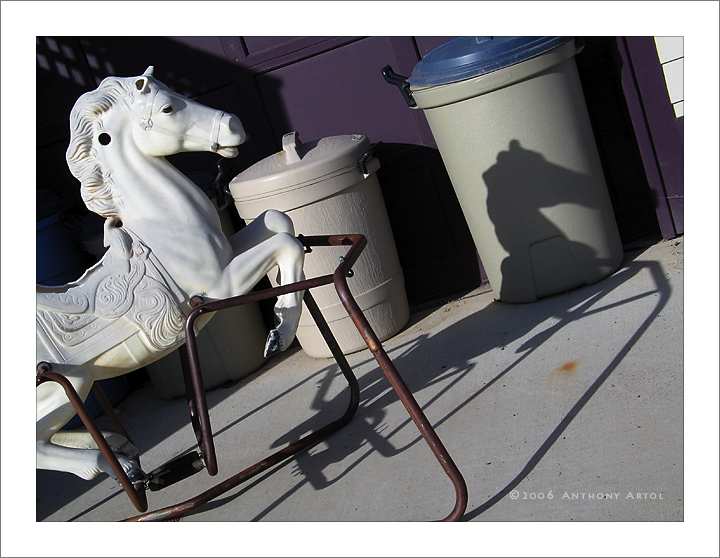 i rifiuti pu&ograve; ed il cavallo bianco plastico